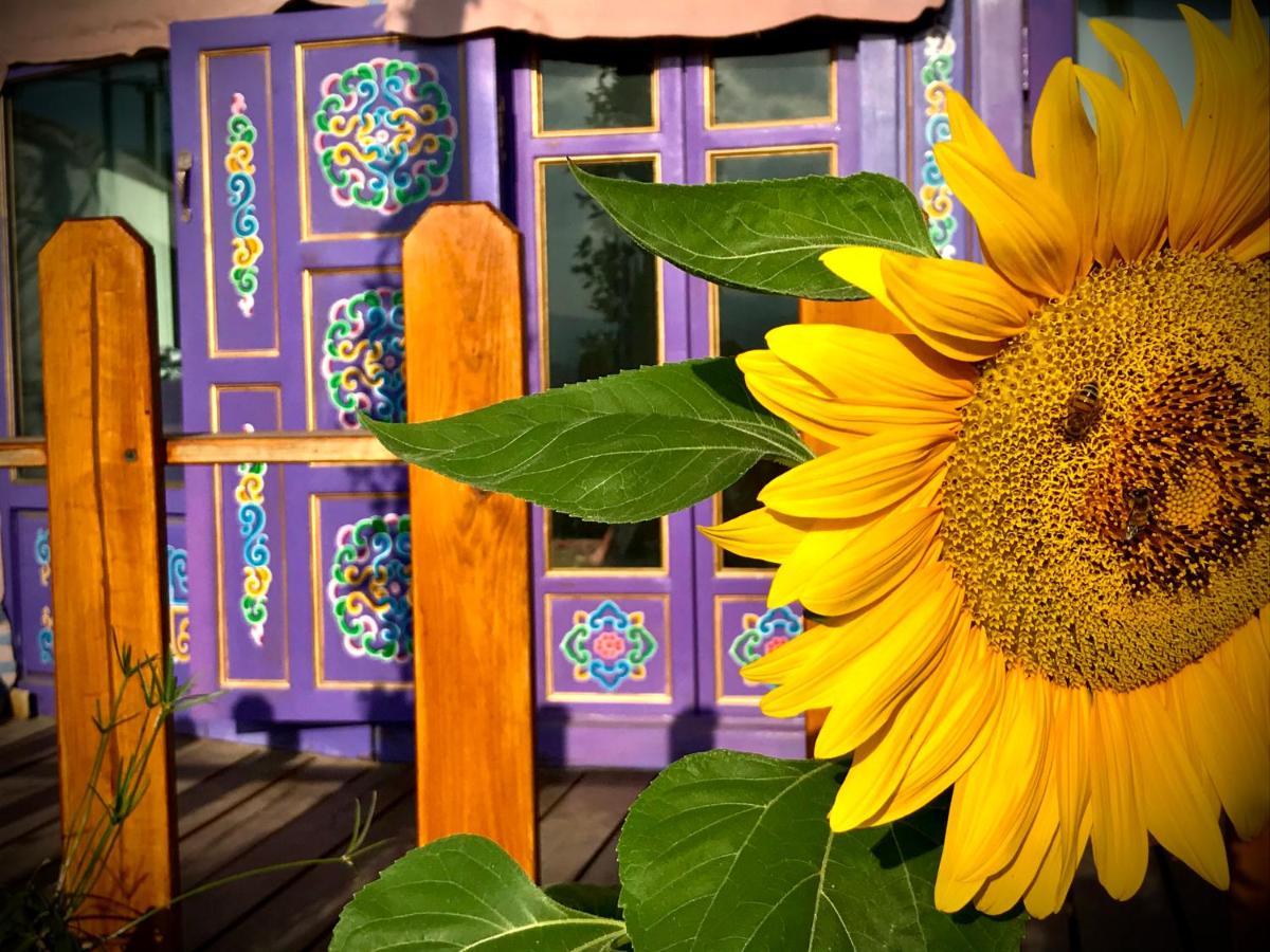 Exclusive Nirvana Yurts Glamping Kato Drys Exterior photo